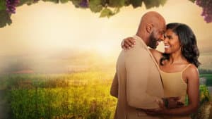 Napa Ever After — foto 1