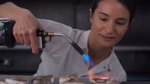 Episodio 7