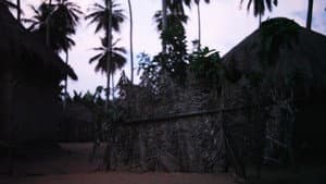 Native Sun — foto 7