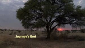 Episodio 8