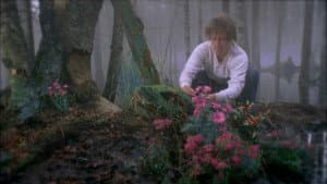 Le marais — foto 2