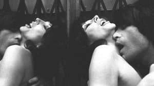 The Stud — foto 4