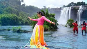 ഡഫേദാര്‍ — foto 1