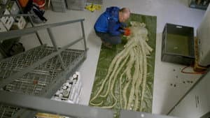 Episodio 2