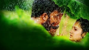 മെല്ലെ — foto 1