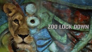 Zoo Lock Down — foto 1
