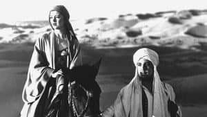 The Barbarian — foto 4