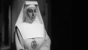 Suor Letizia — foto 1