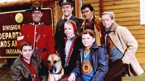 The Forest Rangers — foto 1