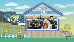 哈囉！毛小孩 — foto 1