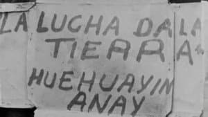 El primer año — foto 4