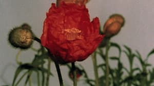 The Untilled Story — foto 1