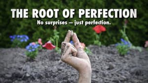 The Root of Perfection — foto 1