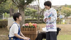 ぼくたちん家 — foto 9