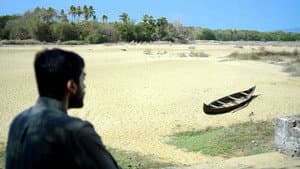പൂമരം — foto 3