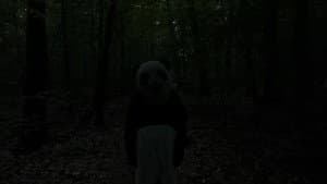 The Wild Panda — foto 1