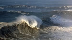 Die perfekte Welle: Big-Wave-Surfen in Portugal — foto 8