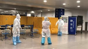My Quarantine Bear — foto 1