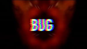 Bug — foto 1