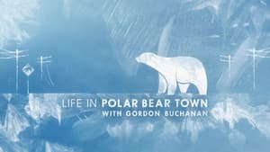 Life in Polar Bear Town with Gordon Buchanan — foto 2