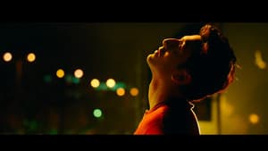 Tamasha — foto 8
