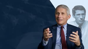 Fauci — foto 5