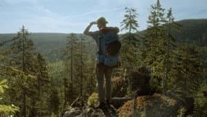 Der wilde Wald — foto 1