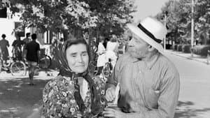 Ποια Είναι Η Μαργαρίτα — foto 10