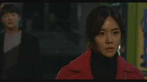 쇠파리 — foto 3