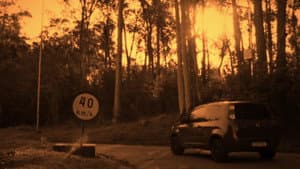 A Mais Longa das Noites — foto 2
