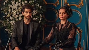 Novela — foto 6
