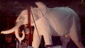 El elefante del rey — foto 1
