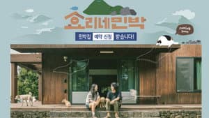 효리네 민박 — foto 7