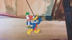 The Dizzy Acrobat — foto 1