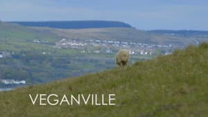 Veganville — foto 1