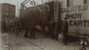 La Tragique Histoire de Fritz l'éléphant — foto 1