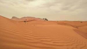 Dubaj, az olajban született oázis — foto 2