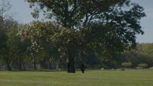 Amongst the Ashes — foto 1