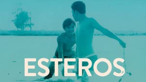 Esteros — foto 8