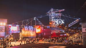 Glass Animals: Live at Melt Festival 2017 — foto 1
