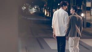 看見愛 — foto 11