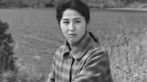杏っ子 — foto 3