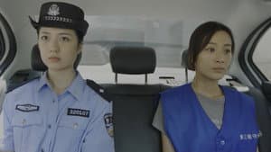 Episodio 29