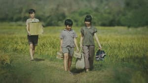 Tôi Thấy Hoa Vàng Trên Cỏ Xanh — foto 2