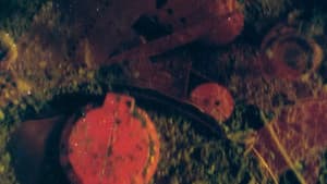 DETRITUS — foto 1