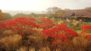 Five Seasons: The Gardens of Piet Oudolf — foto 6
