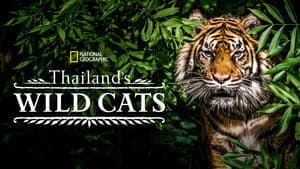 Thailand's Wild Cats — foto 3
