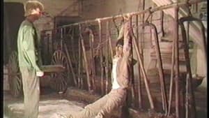 Splatter Farm — foto 5
