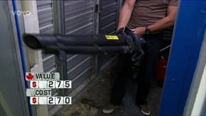 Episodio 17