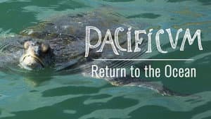 Pacificum: El retorno al océano — foto 2